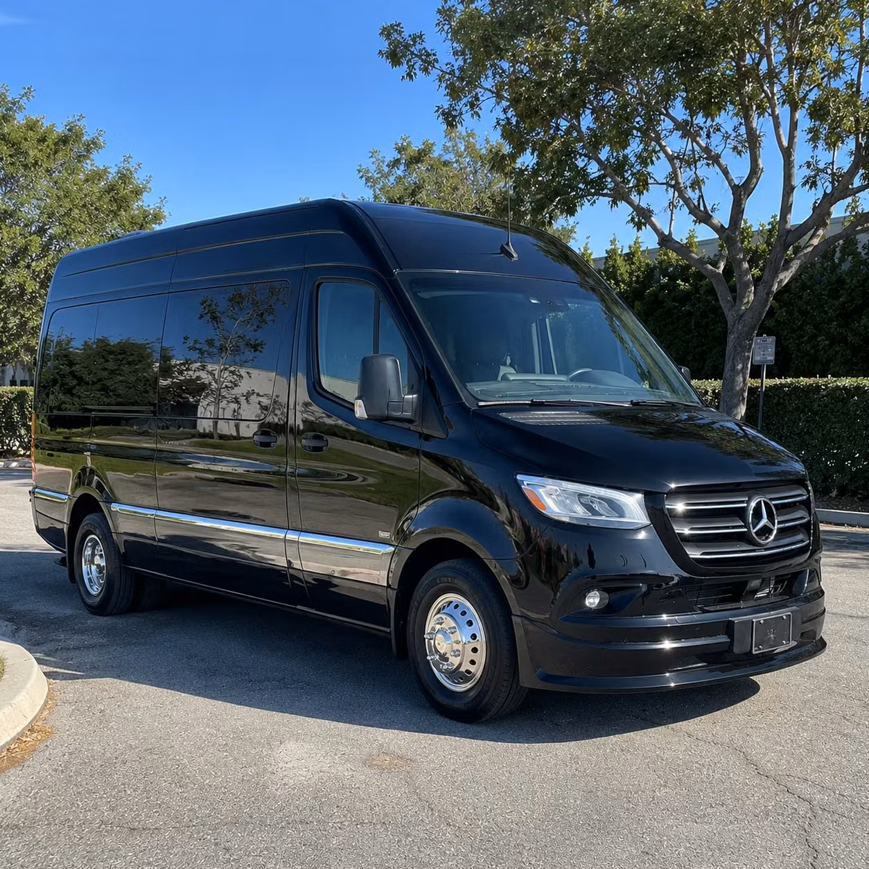 sprinter van with driver